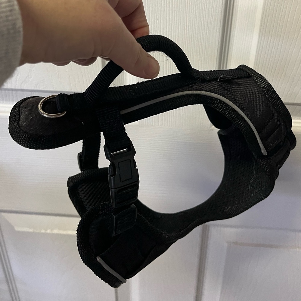XS PetSafe Dog Harness with Handle